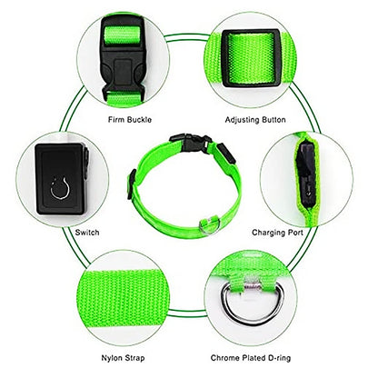 LED Glowing Collar Adjustable Flashing Rechargeable Luminous Collar Night Anti-Lost for