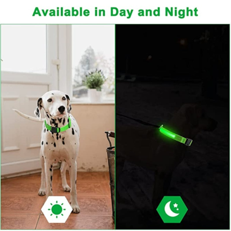 LED Glowing Collar Adjustable Flashing Rechargeable Luminous Collar Night Anti-Lost for