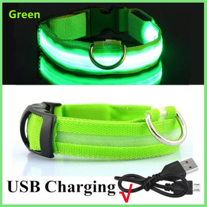 LED Glowing Collar Adjustable Flashing Rechargeable Luminous Collar Night Anti-Lost for