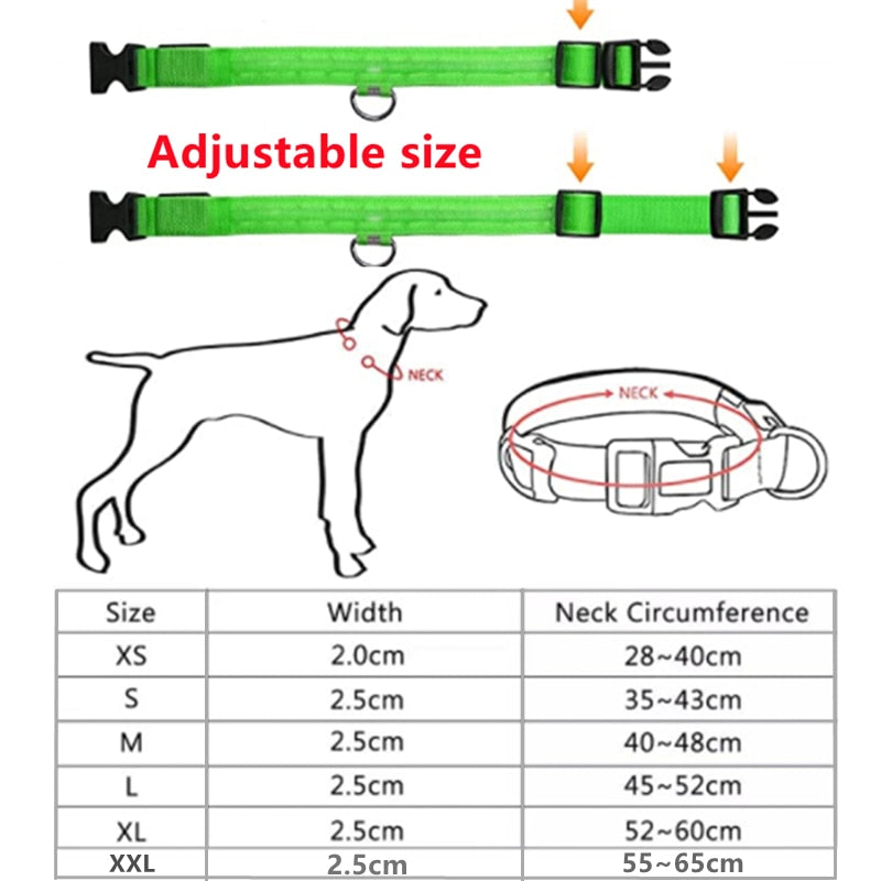 LED Glowing Collar Adjustable Flashing Rechargeable Luminous Collar Night Anti-Lost for